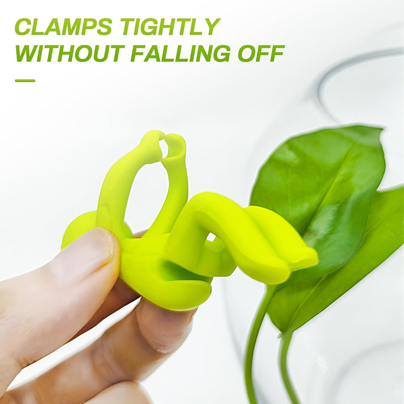 Hydroponic Plant Fixing Figuri - đánh giá và giá Home Office Layout