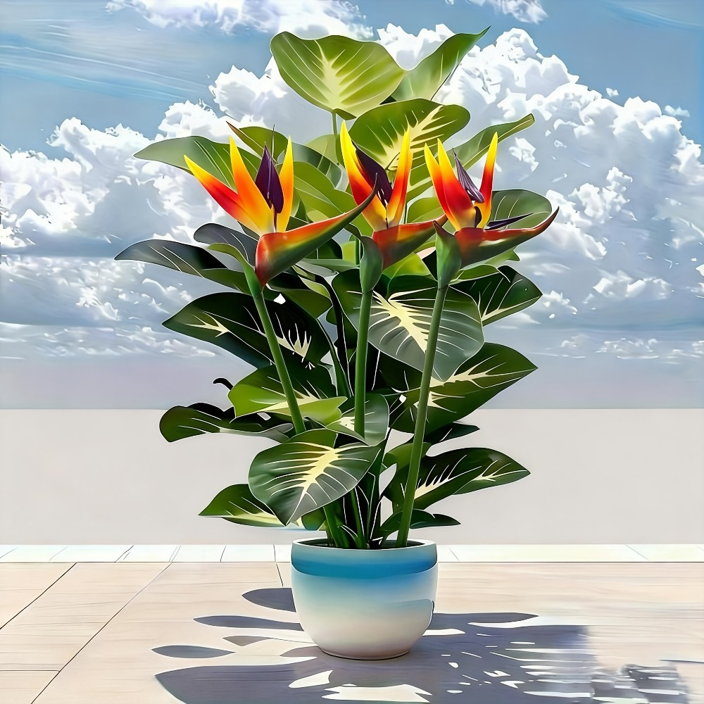 Artificial Bird of Paradise an - đánh giá và giá Home Office Layout