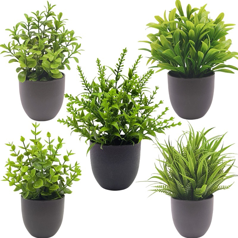 Simulation Green Plant Bonsai  - đánh giá và giá Home Office Layout