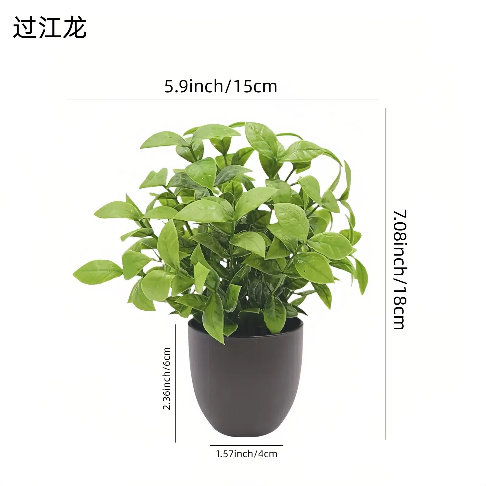 Simulation Green Plant Bonsai  - đánh giá và giá Home Office Layout